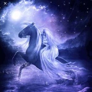 💕✨Posh Ambassador ✨💕